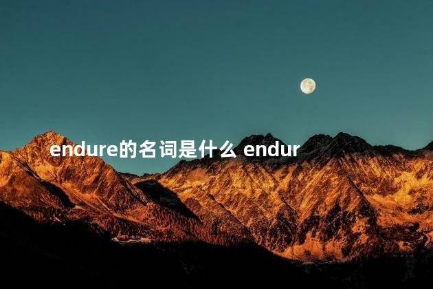 endure的名词是什么 endures翻译